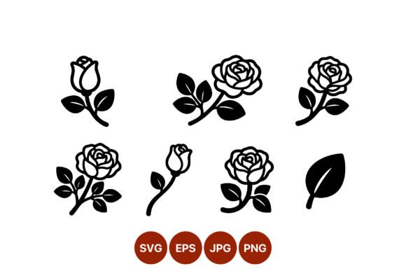 Black White Rose Flower Stem Leaf Graphics