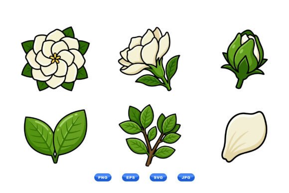 Elegant Gardenia Flower Graphics