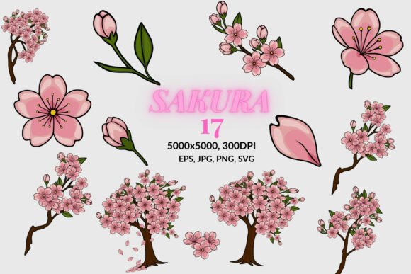 Elegant Sakura Graphics for Springtime Design
