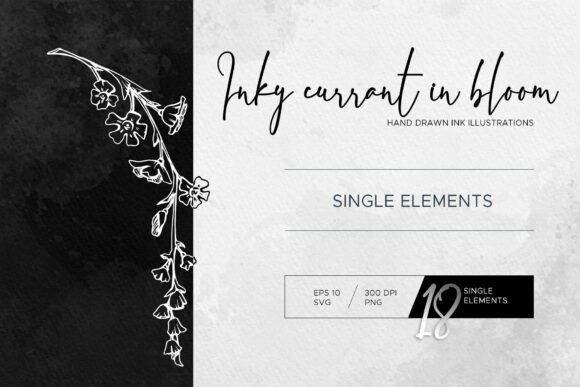 Inky Currant in Bloom Graphics
